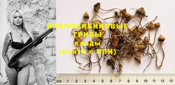прущие крисы Касимов