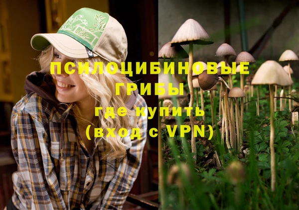 MESCALINE Карталы