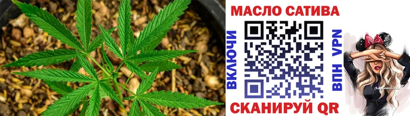 Купить закладки  Жердевка  ТГК вейп 