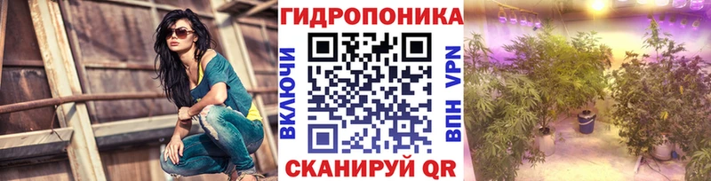 Бошки марихуана White Widow  Купить закладки  Жердевка 